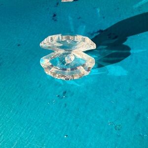 Sawarovski  crystal clamshell